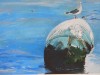 Gull on Buoy